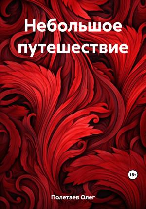 Обложка книги «Небольшое путешествие» — Олег Полетаев