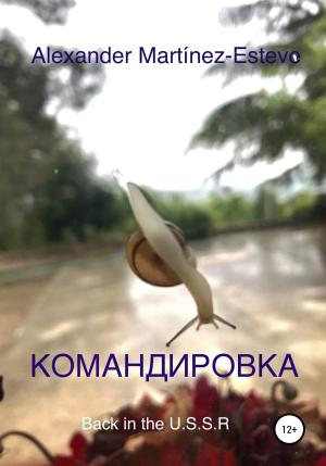 Обложка книги «Командировка» — Alexander Martinez-Esteve