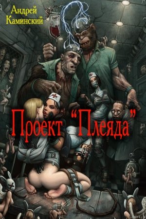 Обложка книги «Проект "Плеяда"» — Андрей Каминский
