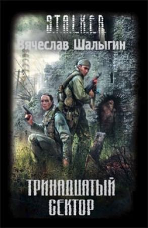 Обложка книги «Тринадцатый сектор» — Вячеслав Шалыгин