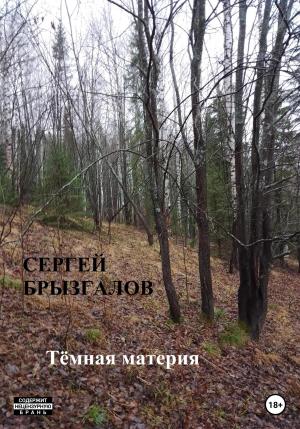 Обложка книги «Тёмная материя» — Сергей Брызгалов