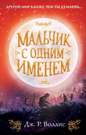 Обложка книги «Мальчик с одним именем» — Дж. Р. Воллис