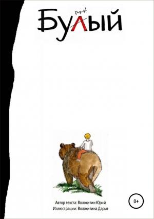 Обложка книги «Бурый и Малыш. Знакомство» — Юрий Волокитин