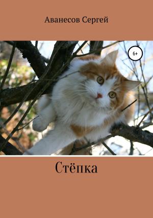 Обложка книги «Степка» — Сергей Аванесов