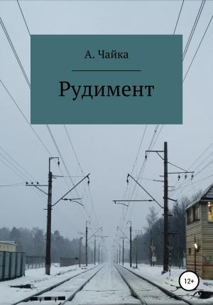 Обложка книги «Рудимент» — Алина Чайка