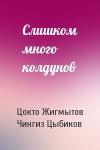 Цокто Жигмытов, Чингиз Цыбиков - Слишком много колдунов
