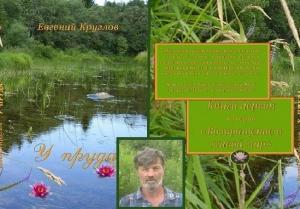 Обложка книги «У ПРУДА» — Евгений Круглов