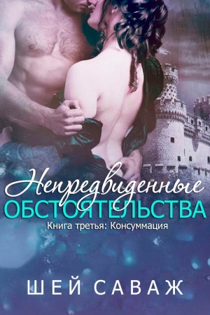 Обложка книги «Консуммация» — Шей Саваж