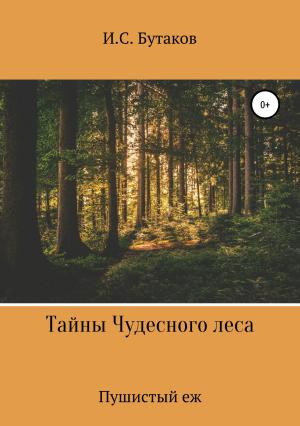 Обложка книги «Тайны Чудесного леса. Пушистый ёж» — Иван Бутаков