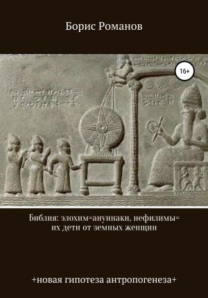 Обложка книги «Библия: элохим=ануннаки, нефилимы=их дети от земных женщин» — Борис Романов