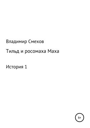 Обложка книги «Тильд и росомаха Маха. История 1» — Владимир Смехов