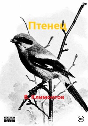 Обложка книги «Птенец» — В. Климонтов