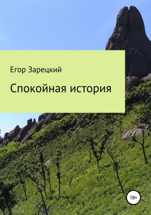 Обложка книги «Спокойная история» — Егор Зарецкий