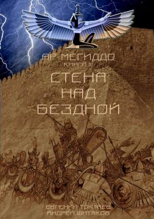 Обложка книги «Стена над Бездной» — Евгений Токтаев, Андрей Шитяков