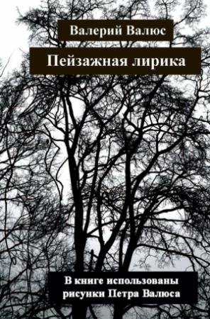 Обложка книги «Пейзажная лирика» — Валерий Валюс