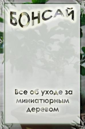 Обложка книги «Все об уходе за миниатюрным деревом» — Илья Мельников