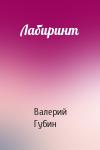 Валерий Губин - Лабиринт