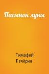 Тимофей Печёрин - Пасынок луны