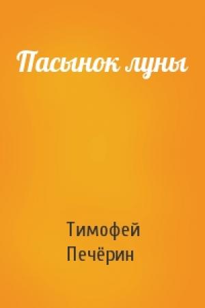 Обложка книги «Пасынок луны» — Тимофей Печёрин