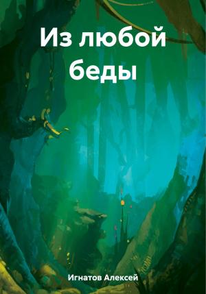 Обложка книги «Из любой беды» — Алексей Игнатов