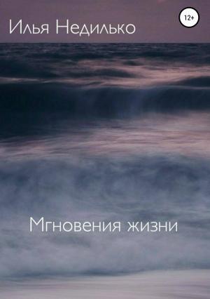 Обложка книги «Мгновения жизни» — Илья Недилько