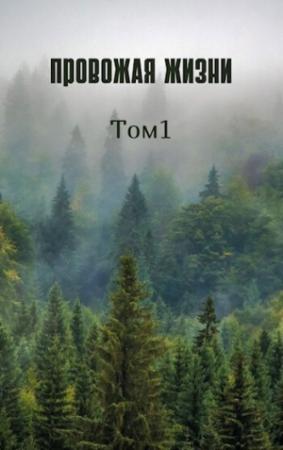 Обложка книги «Провожая жизни. Том 1 (СИ)»