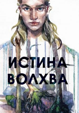 Обложка книги «Истина волхва» — Максим Лисин