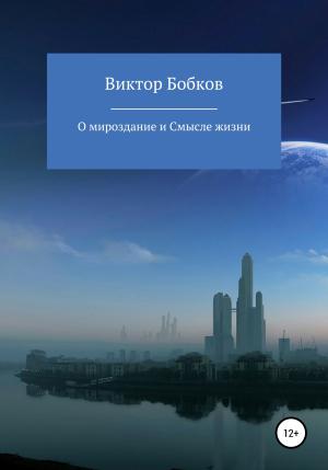 Обложка книги «О мироздание и Смысле жизни» — Виктор Бобков