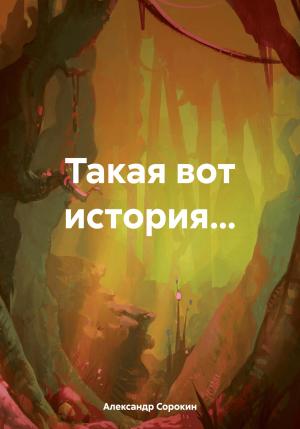 Обложка книги «Такая вот история…» — Александр Сорокин