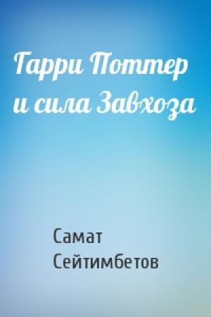 Обложка книги «Гарри Поттер и сила Завхоза» — Самат Сейтимбетов