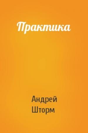 Обложка книги «Практика» — Андрей Шторм