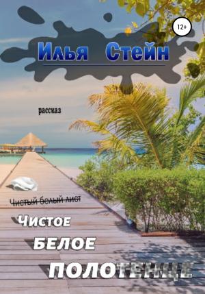 Обложка книги «Чистое белое полотенце» — Илья Стейн