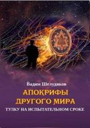 Обложка книги «Тулку на испытательном сроке» — Вадим Шелудяков