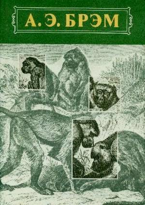 Обложка книги «Жизнь животных Том I Млекопитающие» — Альфред Брэм