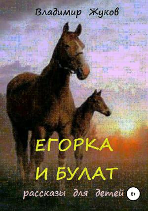 Обложка книги «Егорка и Булат» — Владимир Жуков
