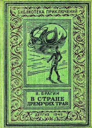 Обложка книги «В Стране Дремучих Трав» — Владимир Брагин