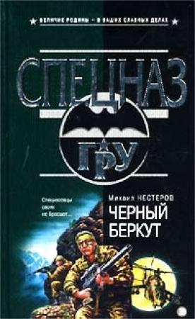 Обложка книги «Черный беркут» — Михаил Нестеров