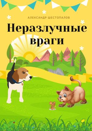 Обложка книги «Неразлучные враги» — Александр Шестопалов