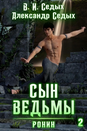 Обложка книги «Ронин» — Вячеслав Седых, Александр Седых