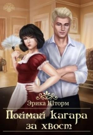 Обложка книги «Поймай кагара за хвост» — Эрика Шторм