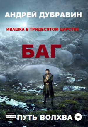 Обложка книги «БАГ» — Андрей Дубравин