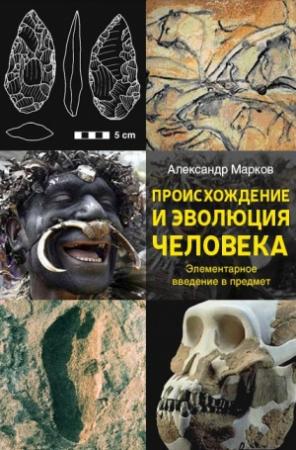 Обложка книги «Происхождение и эволюция человека» — Александр Марков