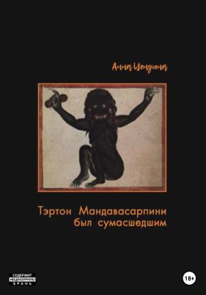 Обложка книги «Тэртон Мандавасарпини был сумасшедшим» — Анна Цендина