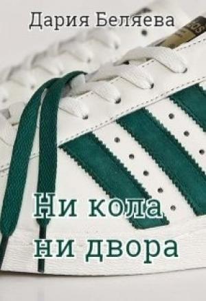Обложка книги «Ни кола ни двора» — Дарья Андреевна Беляева