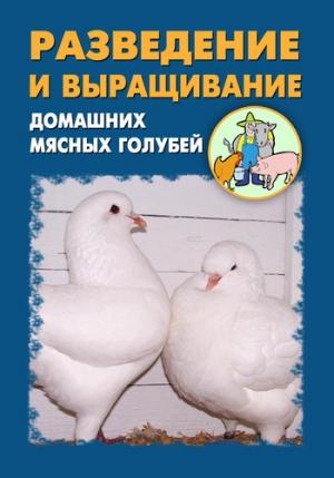 Обложка книги «Разведение и выращивание домашних мясных голубей» — Илья Мельников, Александр Ханников