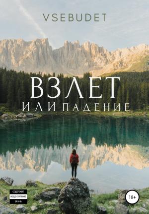 Обложка книги «Взлет или падение» — Vsebudet