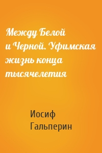 Между Белой и Черной. Уфимская жизнь конца тысячелетия