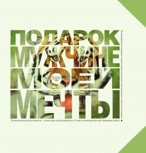 Обложка книги «Подарок мужчине моей мечты» — Андрей Николаевич Ушаков