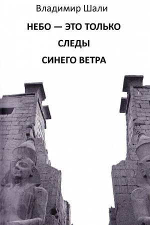 Обложка книги «Небо – это только следы синего ветра» — Владимир Шали