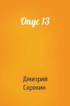 Дмитрий Сорокин - Опус 13